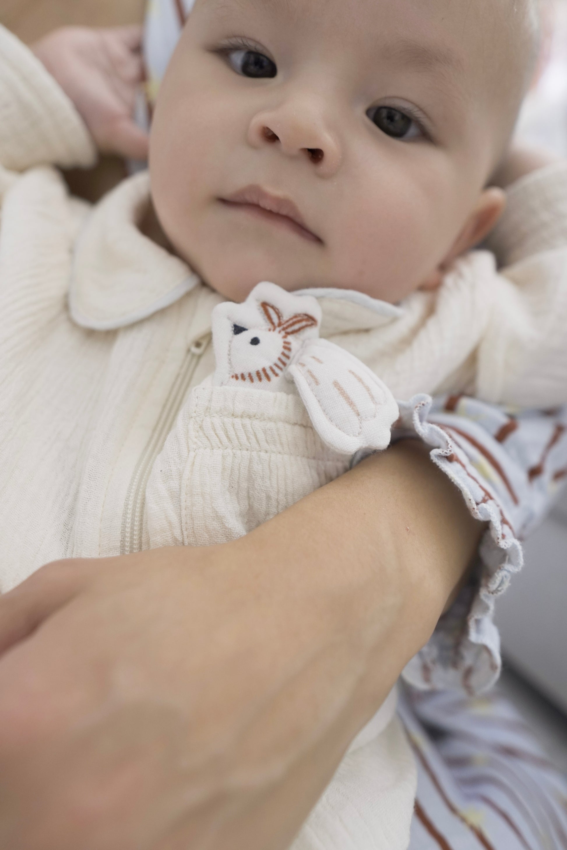 The Baby Snuggle Set